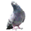 888202732
