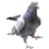 888202733