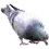 888202736