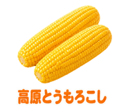 888202902
