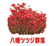 888202915