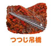 888202917