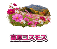 888202924