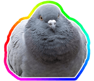 888203223