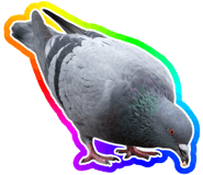 888203224