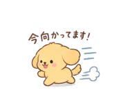 888203236