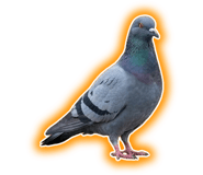 888203324