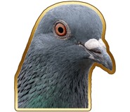 888203330