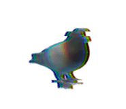 888203344