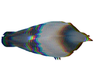 888203345