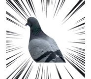 888203350