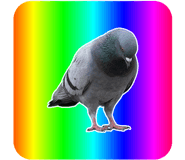 888203354
