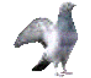 888203358