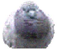 888203359