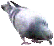 888203360