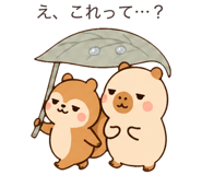 888203917
