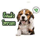 888204241