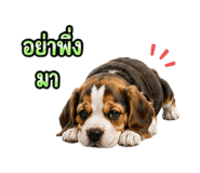 888204309