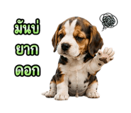 888204317