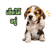 888204320