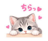 888204597