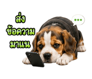 888204700