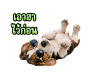 888204710