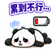 888204808