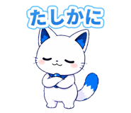888206213
