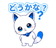 888206216