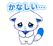 888206228