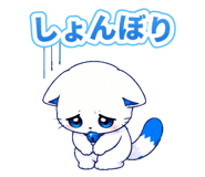 888206229