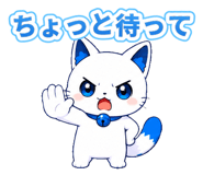 888206231