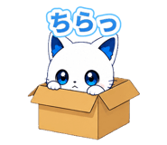 888206240