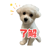 888206265