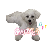 888206267