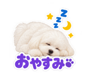 888207095