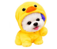 888207503