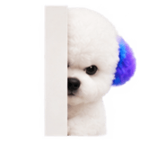 888207516