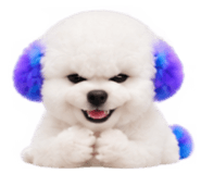 888207523