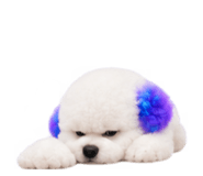 888207526