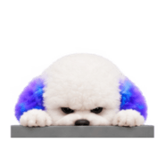 888207529