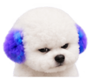 888207531