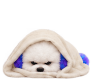 888207535