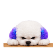 888207539