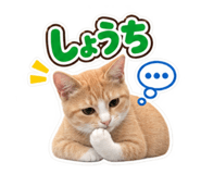 888208454