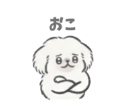 888209020