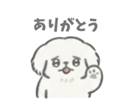 888209023