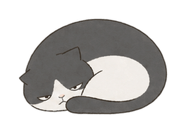 888210519
