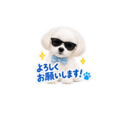 888210734